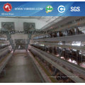 South American Automatic Chicken Poultry Equipment for Layers and Broiler